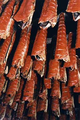 Half dried salmon hanging inside the smokehouse
