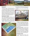 Seismic risk at the Pebble Mine