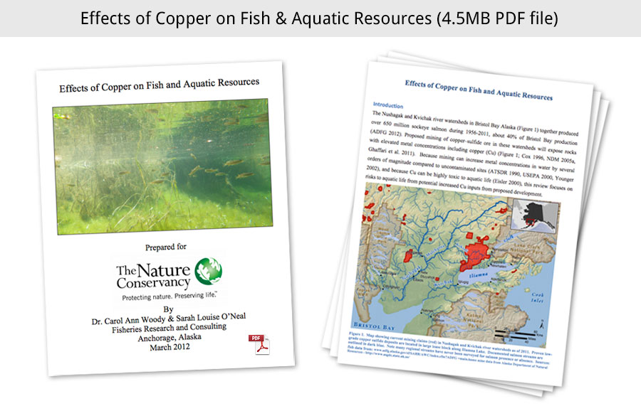 Copper and Salmon Report