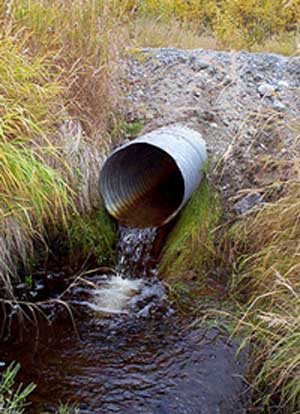 perchedculvert.jpg