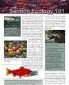 Salmon Ecology 101 fact sheet