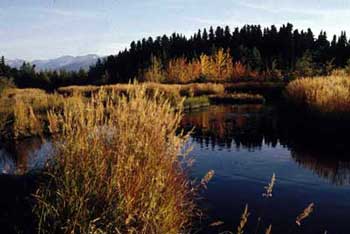 Glacier Flats Creek, Tustumena Lake drainage